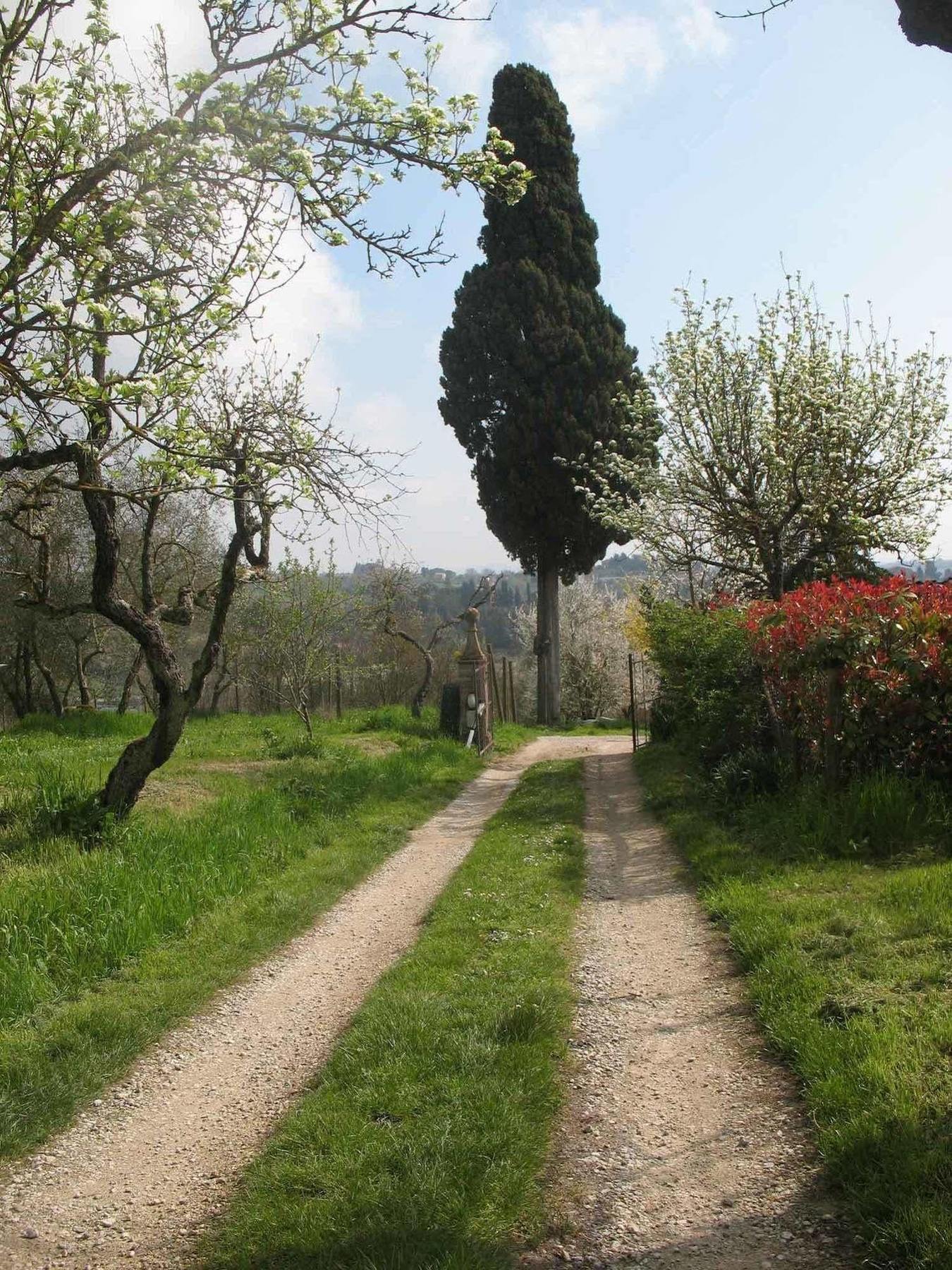 Agriturismo La Torretta Costalpino Εξωτερικό φωτογραφία