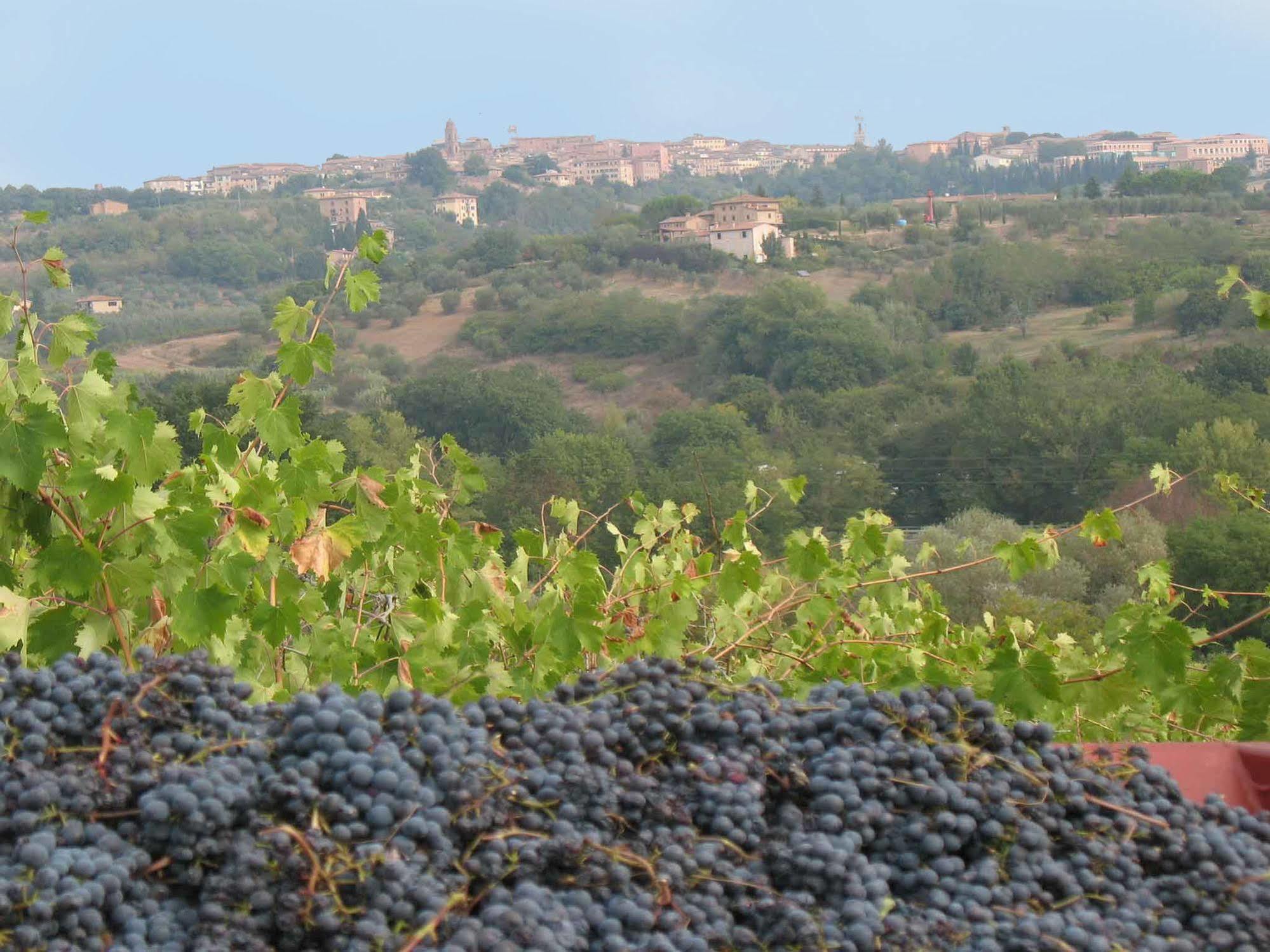 Agriturismo La Torretta Costalpino Εξωτερικό φωτογραφία