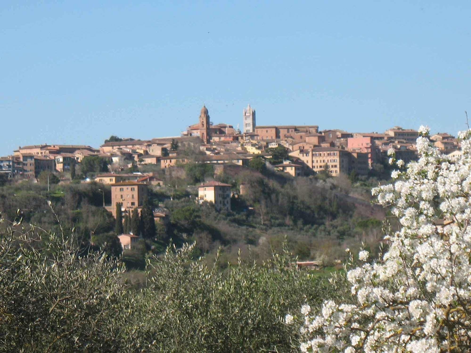 Agriturismo La Torretta Costalpino Εξωτερικό φωτογραφία
