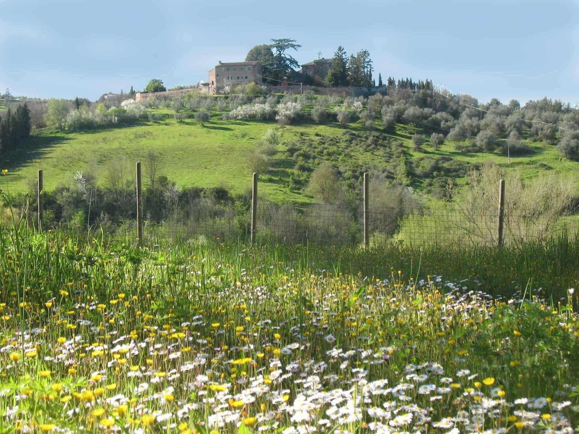 Agriturismo La Torretta Costalpino Εξωτερικό φωτογραφία