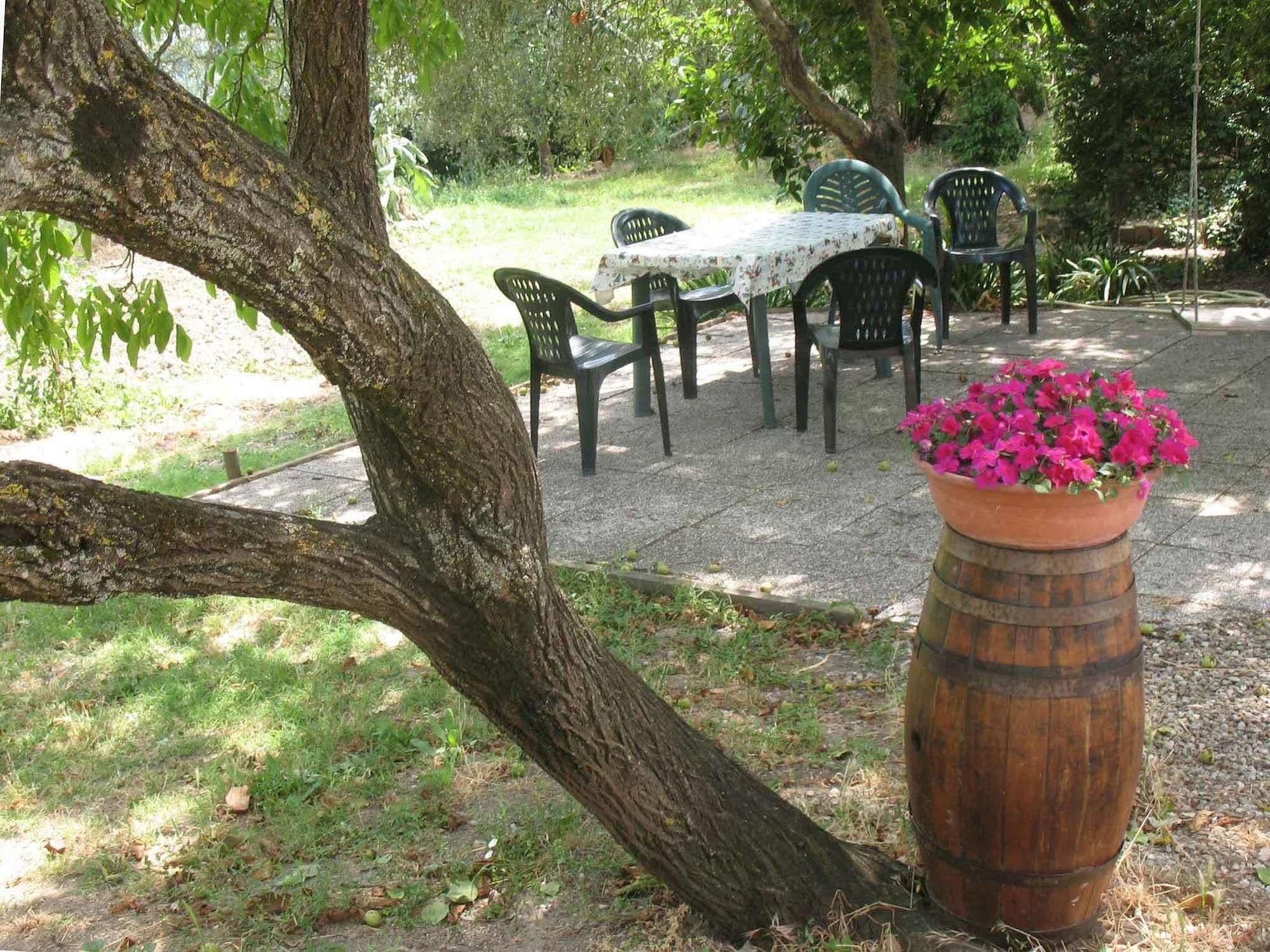 Agriturismo La Torretta Costalpino Εξωτερικό φωτογραφία